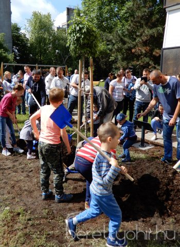 Életfát ültettünk 17